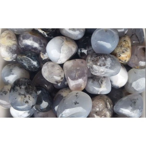 Agate Dendritic Tumbled Stones 1KG