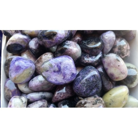 Charoite Tumbled Stones 1KG