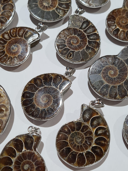 Ammonite Pendants