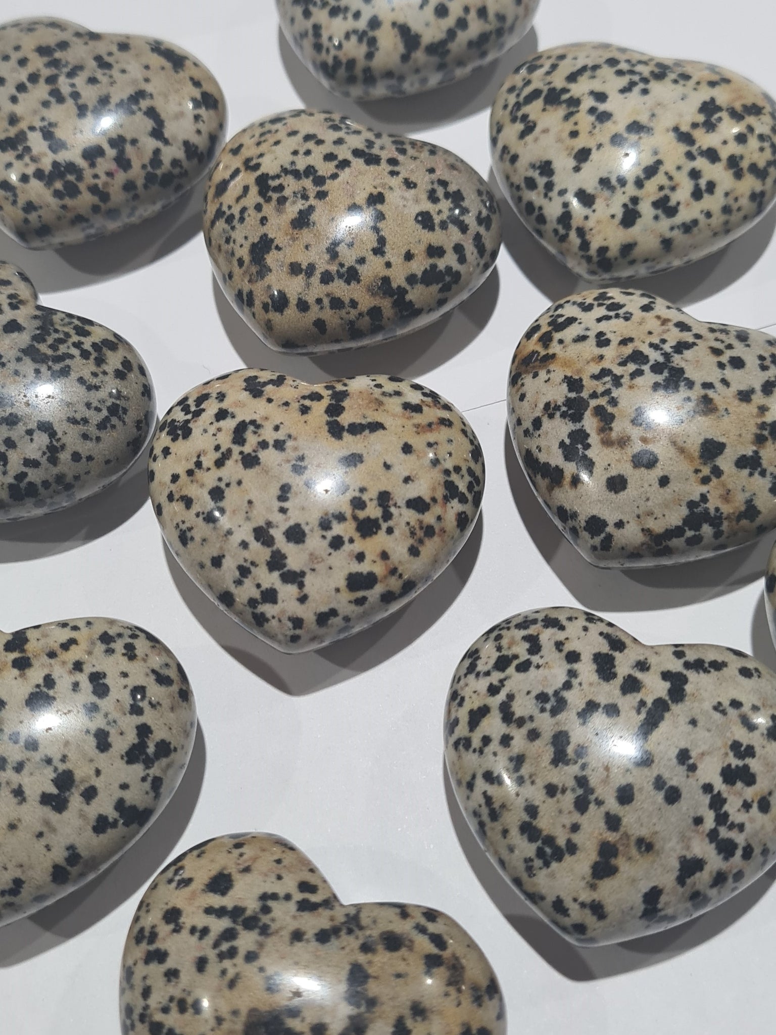 Dalmation Jasper Hearts