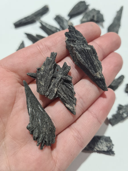 Black Kyanite Fans