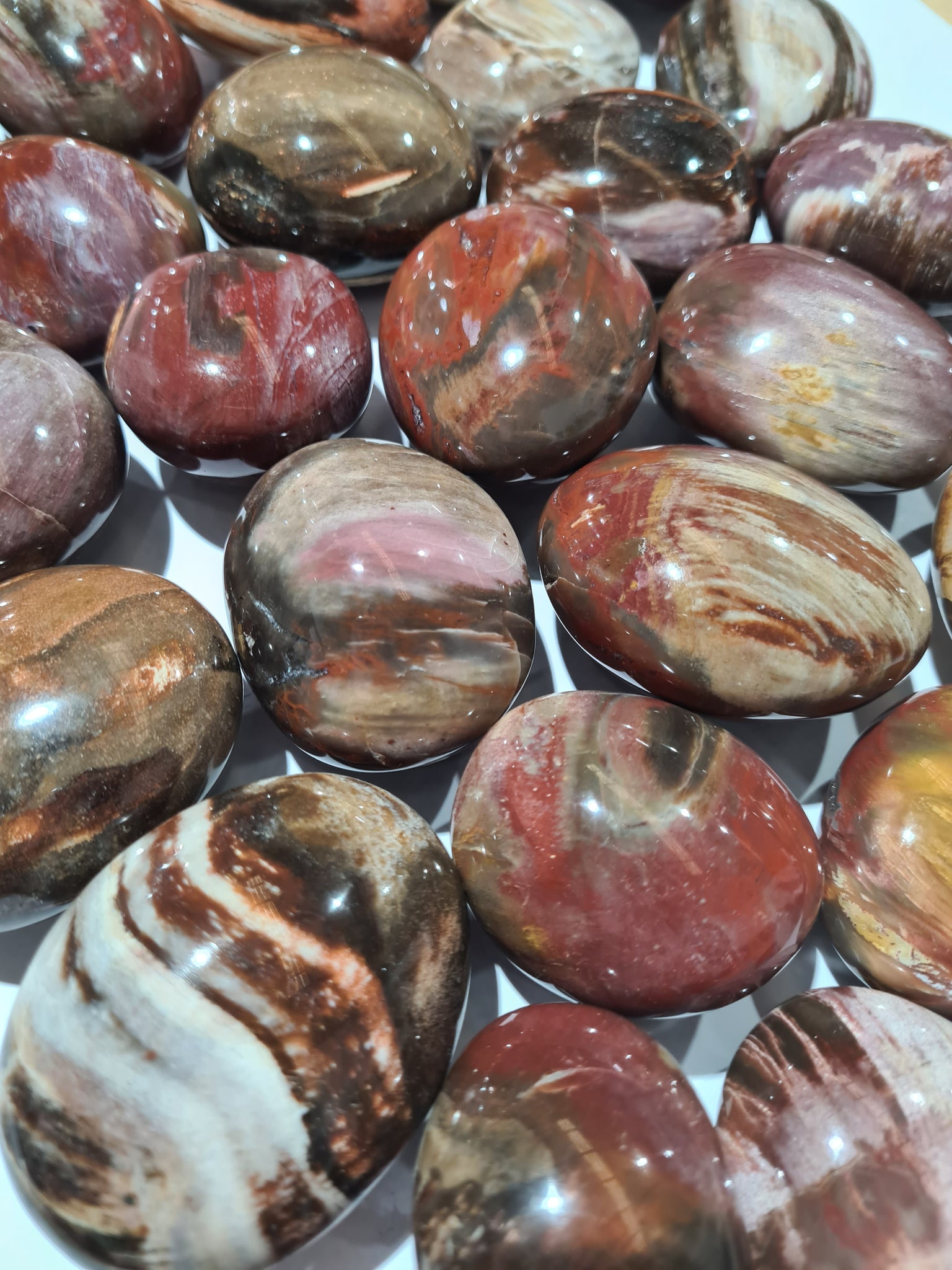 Petrified Wood Palm Stones