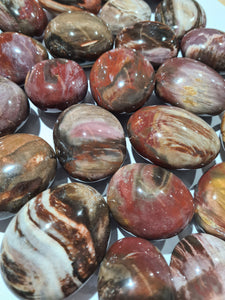 Petrified Wood Palm Stones