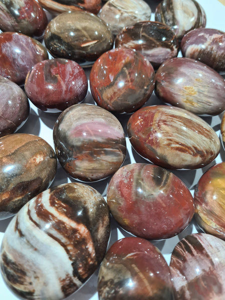 Petrified Wood Palm Stones
