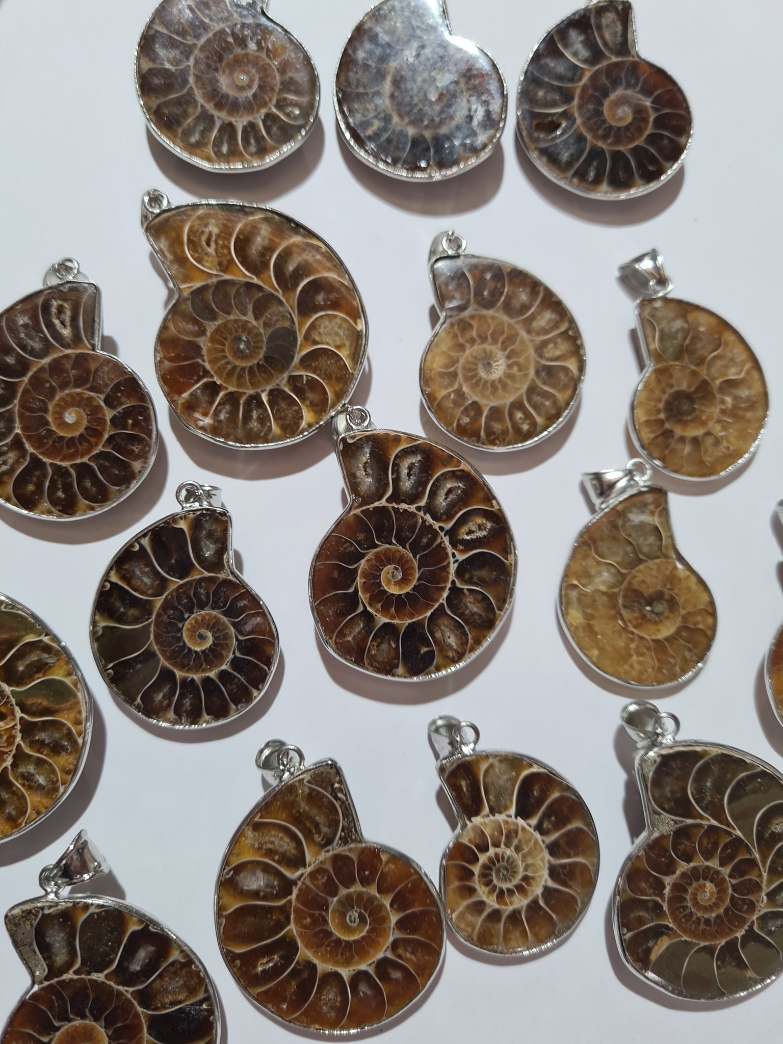 Ammonite Pendants