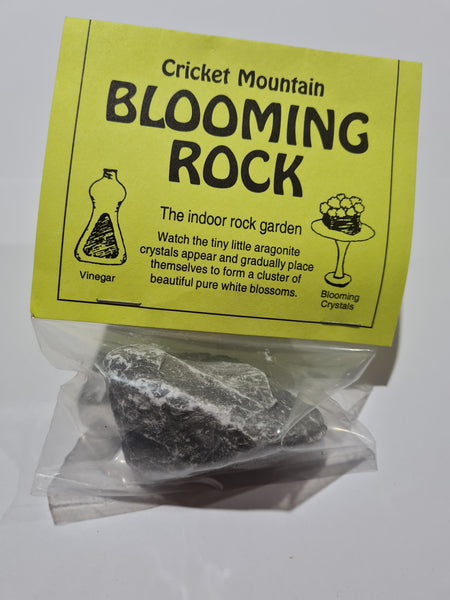 Blooming Rock