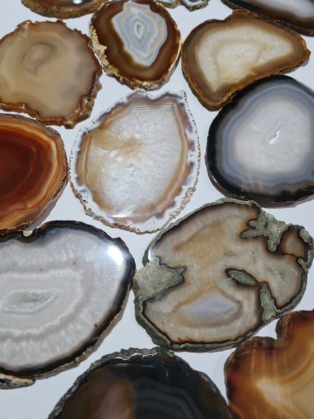Agate Slices Natural