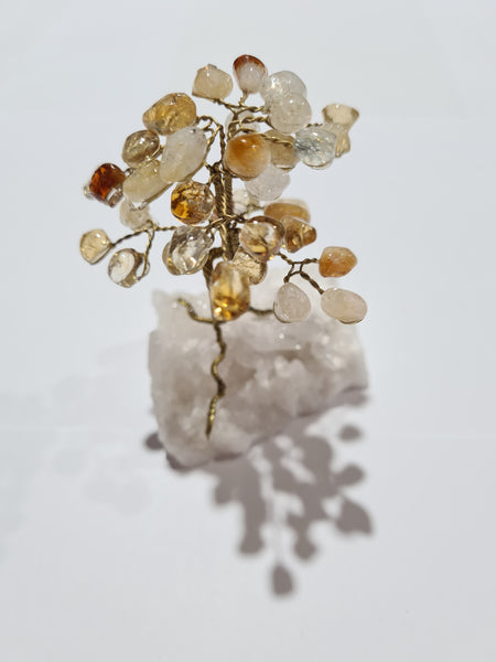 Crystal Chip Tree's on Quartz Base
