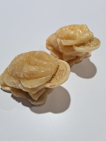 Orange Calcite Money Frogs