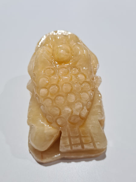 Orange Calcite Money Frogs