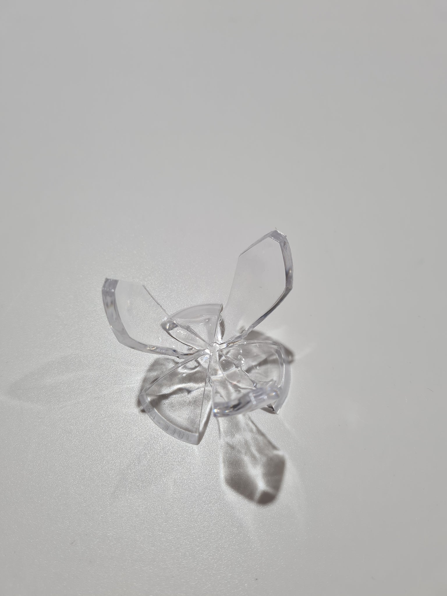 Sphere Stand Tulip