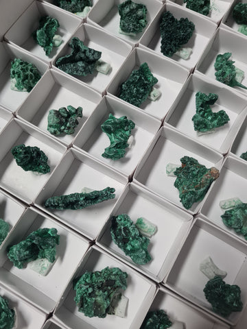 Fibrous Malachite Specimens