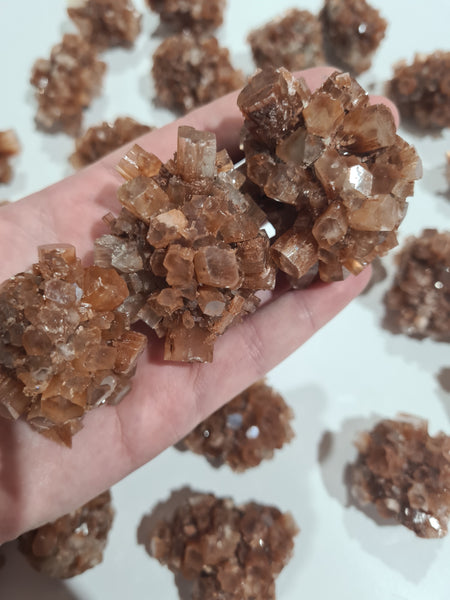 Aragonite Sputniks Medium