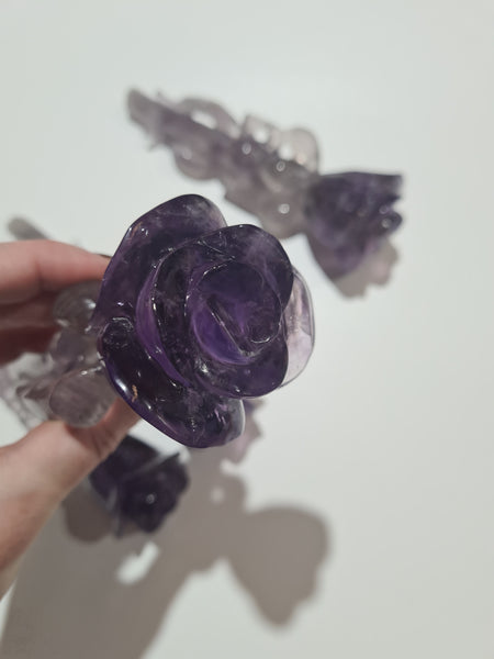 Bahia Amethyst Rose