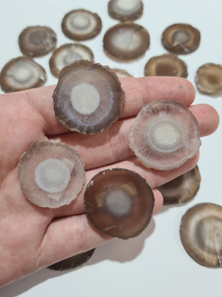 Chalcedony Slices (South Africa)