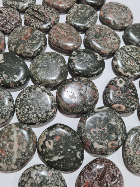 Fossil Stone Flatstones