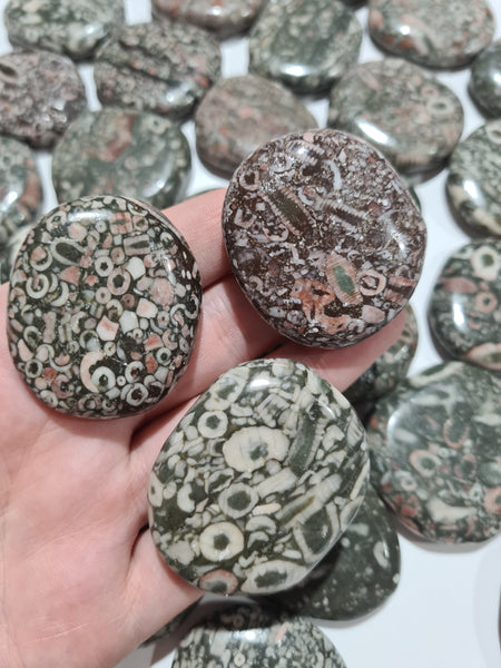 Fossil Stone Flatstones