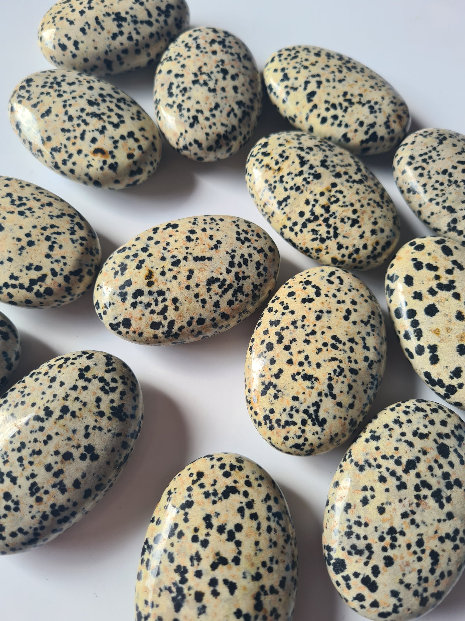 Dalmation Jasper Palm Stones