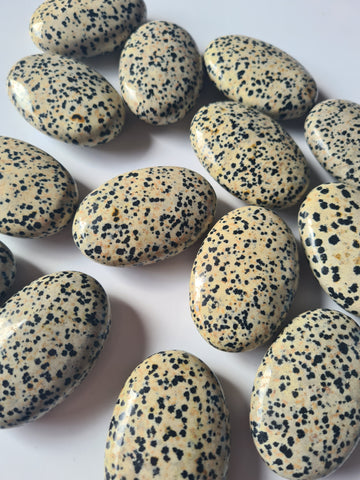 Dalmation Jasper Palm Stones