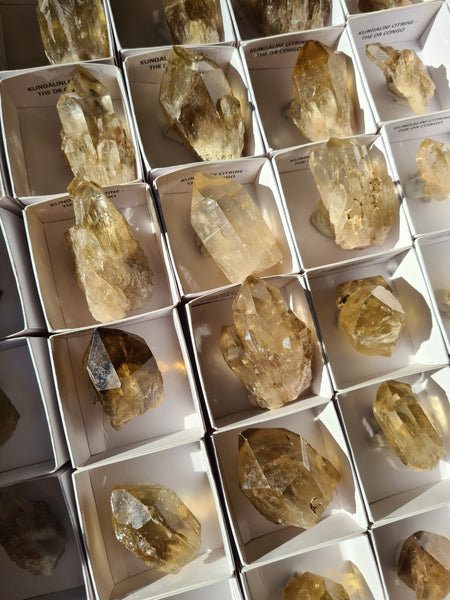 Congo Citrine Points