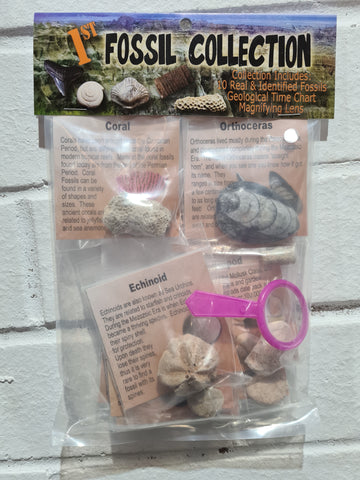Fossil Collection Bags