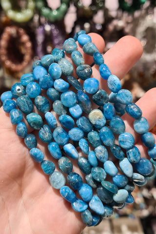 Apatite Small Tumbled Bracelets